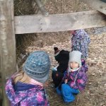 phoca_thumb_m_krmelec 1 Fotogalerie